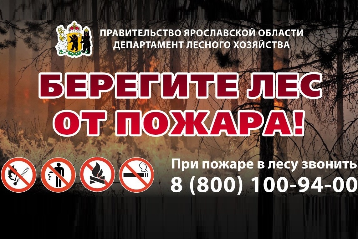 На землях лесного фонда области указом Дмитрия Миронова введен особый противопожарный режим