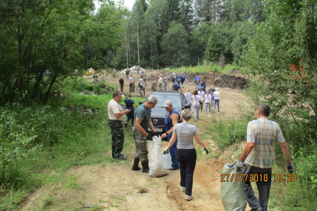 Почти 70 несанкционированных свалок ликвидировано в лесах Ярославской области