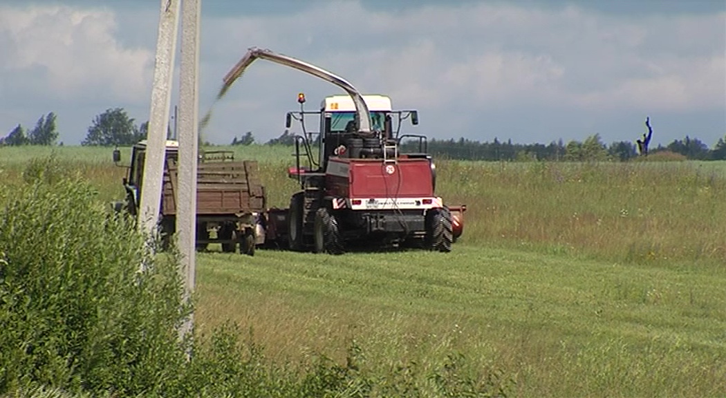 Ярославским сельхозпроизводителям помогают покупать технику