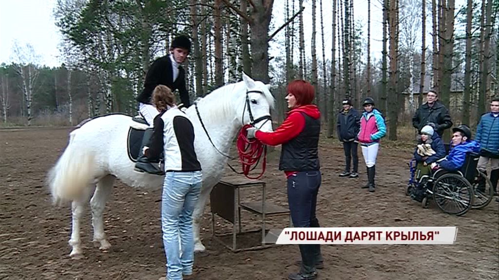 Проект лечения с помощью лошадей получил президентский грант