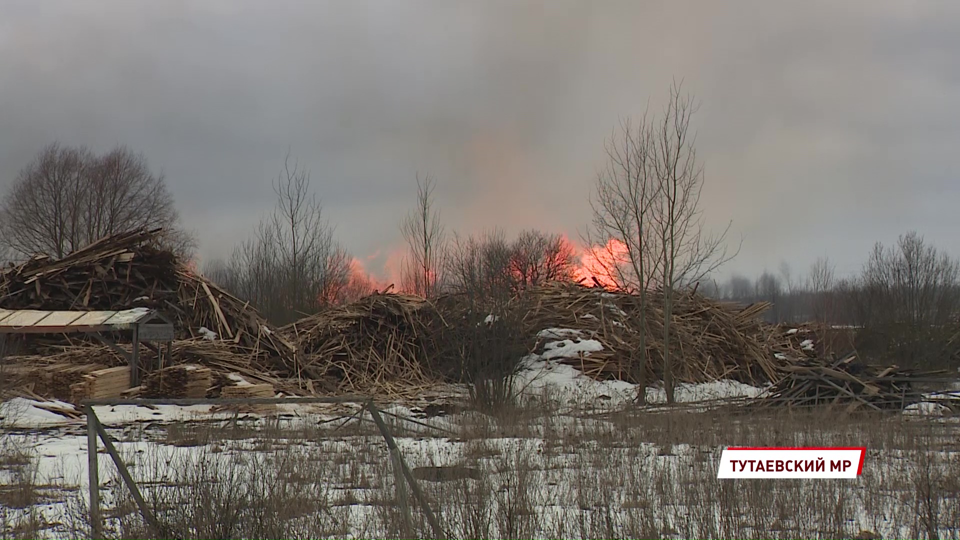 Владельцу лесопилки, который сжигал опилки «по согласованию с МЧС», грозит крупный штраф
