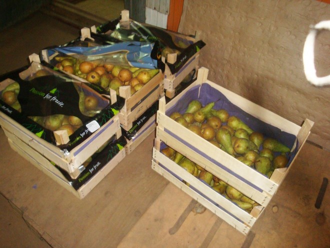 В 2018-м году в области уничтожили больше двух тонн санкционных фруктов и овощей