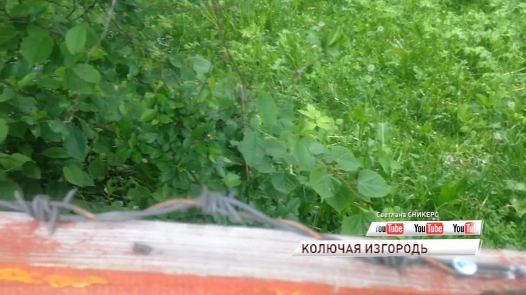 Родители учеников 30 школы негодуют: жильцы дома от детей отгородились колючей проволокой