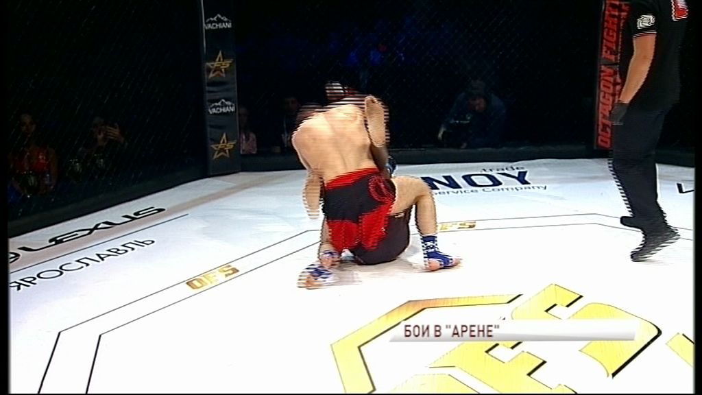 В Ярославле прошел турнир по смешанным единоборствам OFS