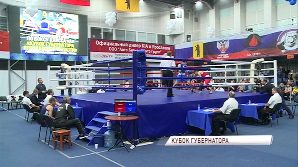 В Ярославле стартовал кубок губернатора области по боксу