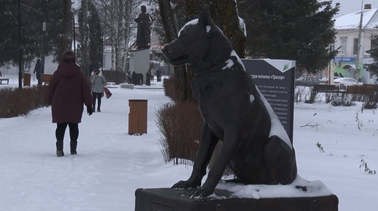 Программа «ТЕРРИТОРиЯ: Даниловский МР»