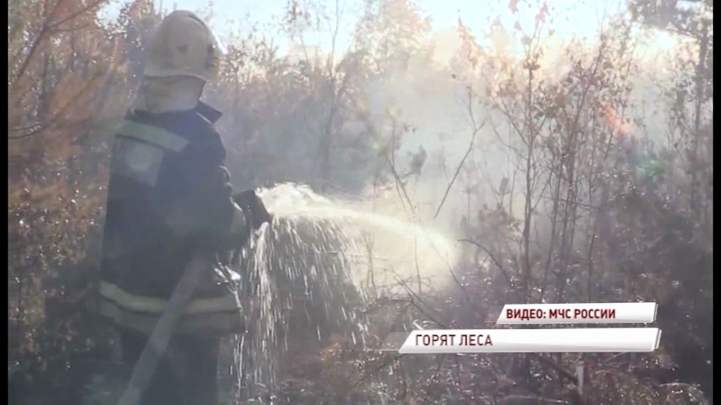 В лесу под Переславлем-Залесским потушили два пожара