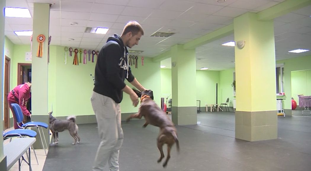 Утреннее шоу "Овсянка" от 18.10.19