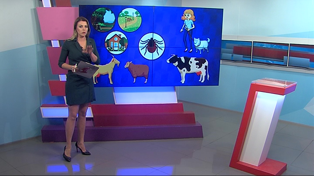 Как защититься от клещей? Весенняя памятка от «Первого Ярославского»