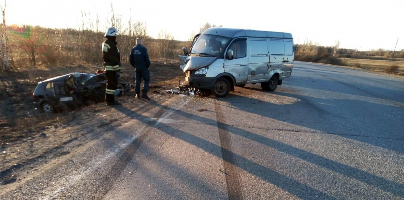 В ДТП с микроавтобусом пострадал человек