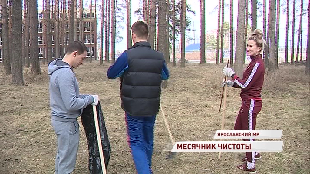 В Ярославском районе на уборку дворов вышли целыми семьями