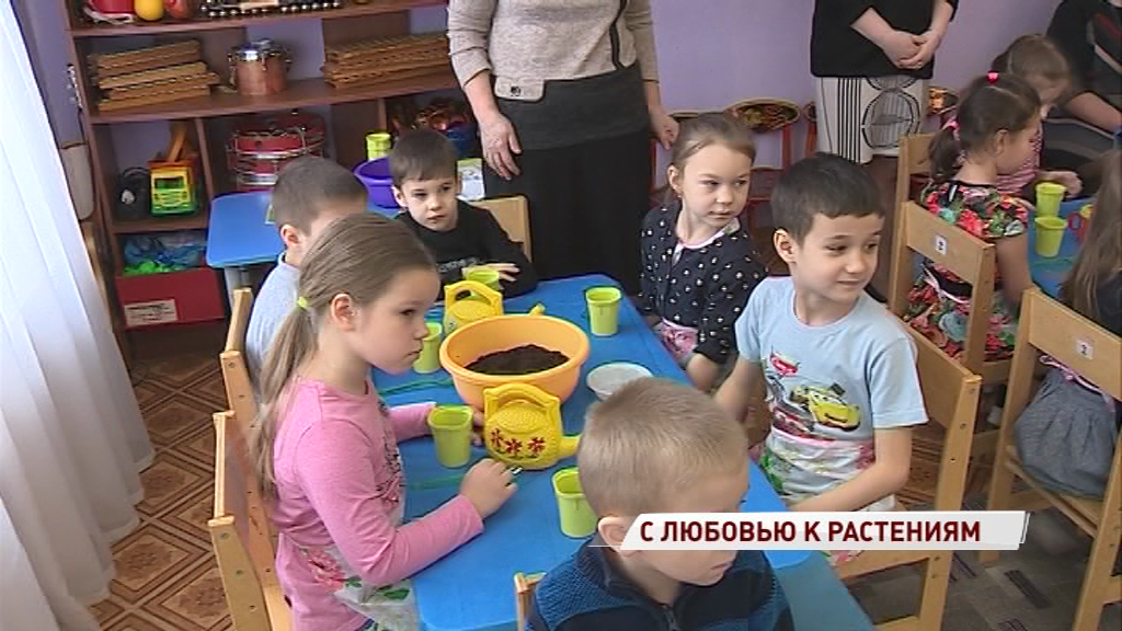 Малыши подготовительной группы сами посадили лекарственные растения