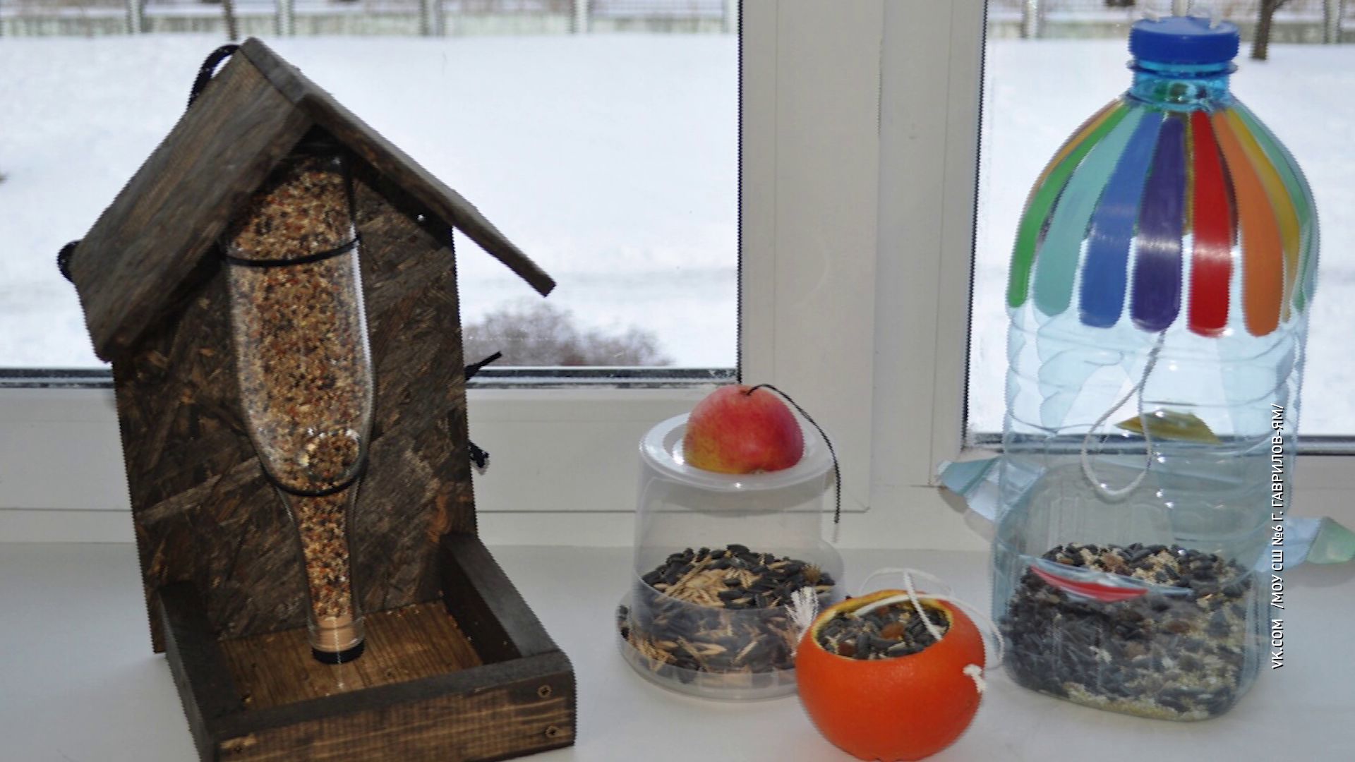 В Ярославском регионе проходит онлайн-флешмоб под названием «Съедобная кормушка»