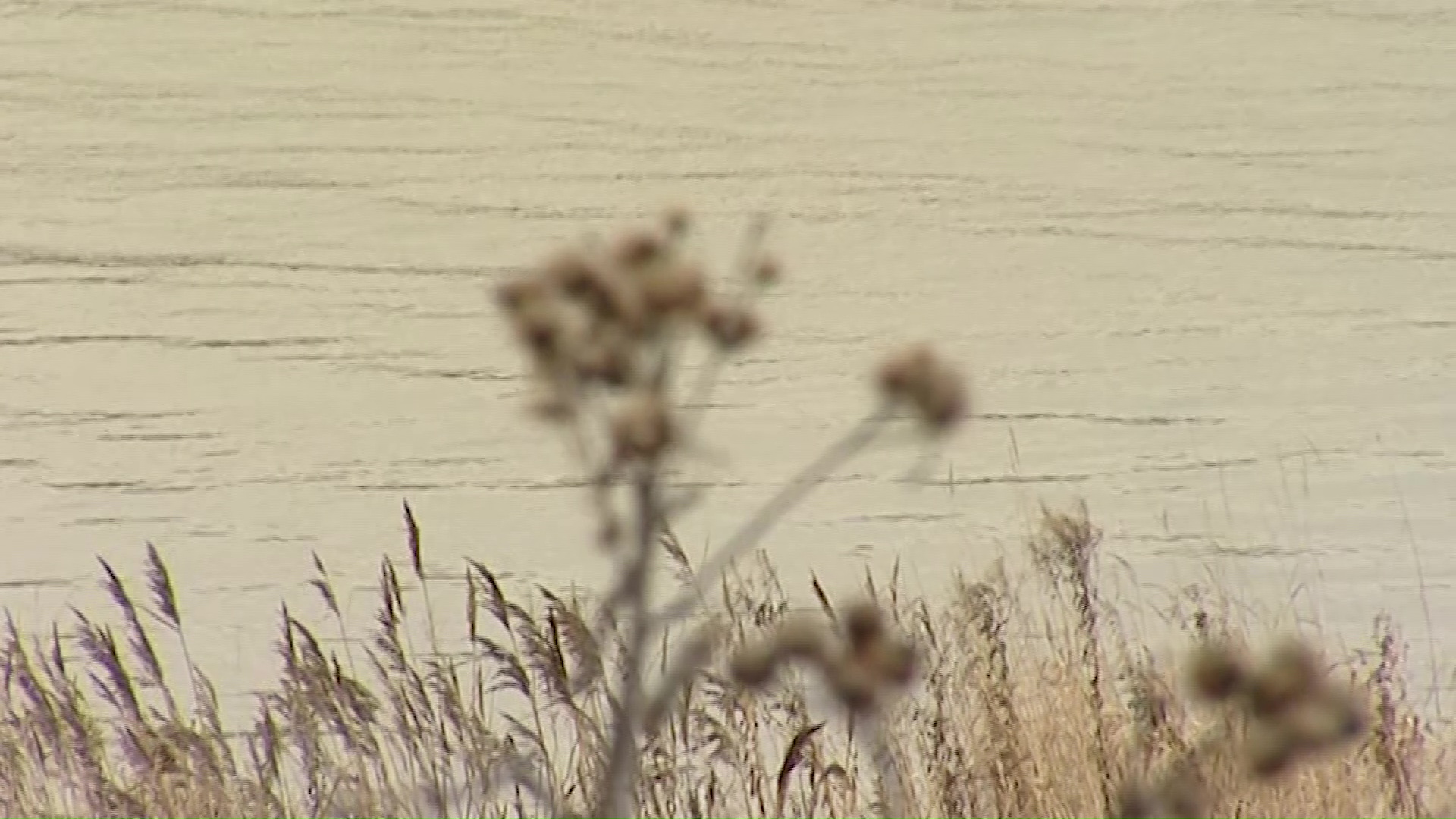 Двух жителей Тутаева осудили за похищение и убийство человека