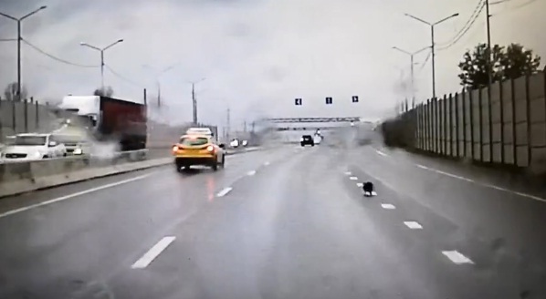 В Кузнечихе шпиц спровоцировал аварию