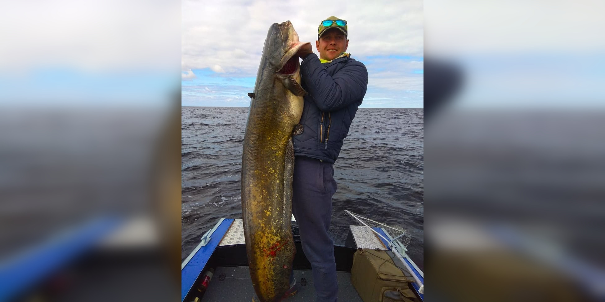 Рыбинские рыбаки выловили сома размером с человека