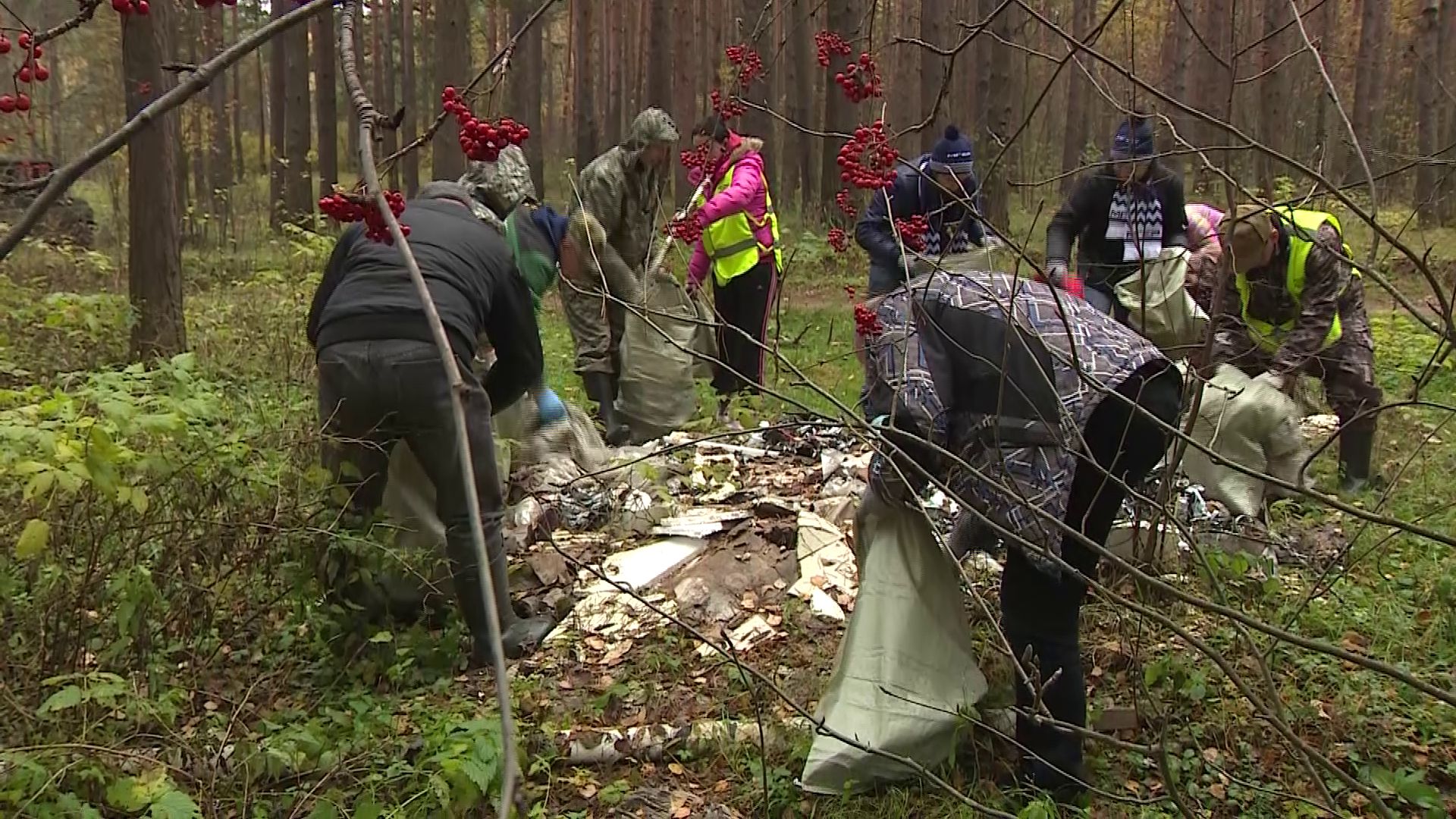 Яковлевский бор очистили от мусора вручную