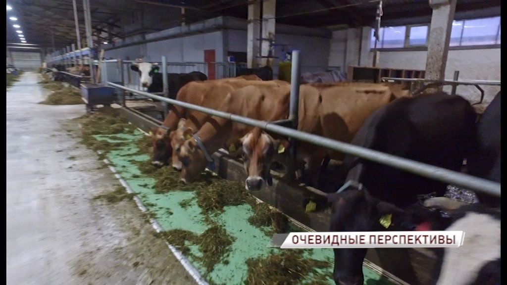 Сельхозпредприятия региона не оставят без поддержки