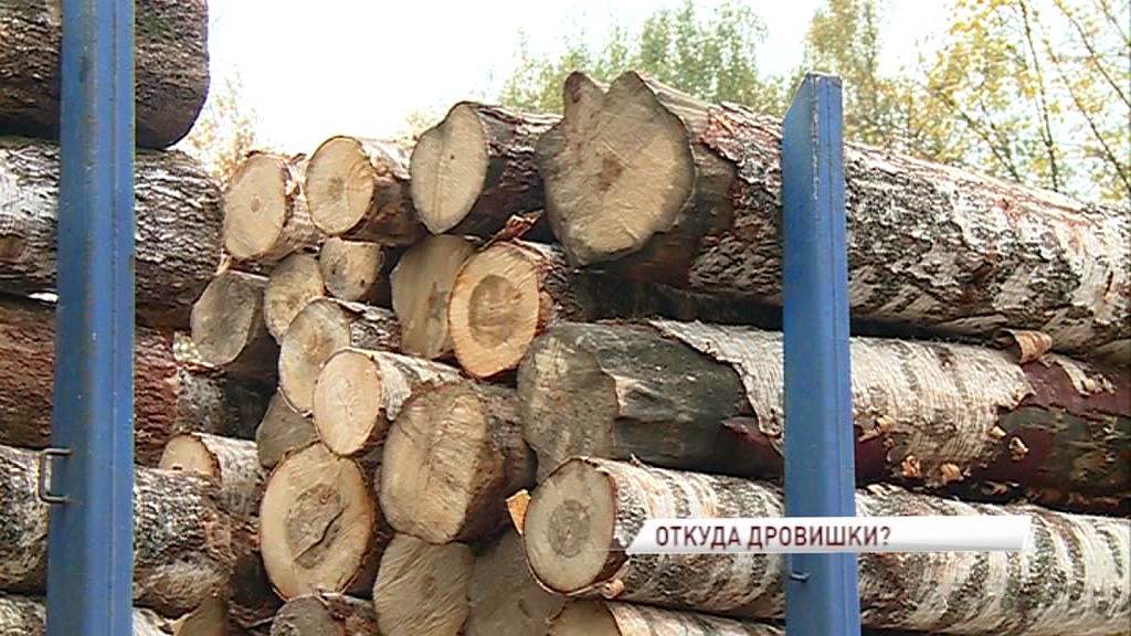 В Ярославле ловят «черных лесорубов», проверяя фуры с древесиной