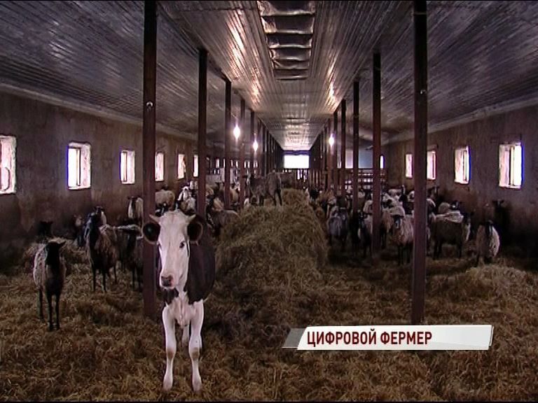 Ярославцы на выставке «Золотая осень» представят проект «Цифровой фермер»