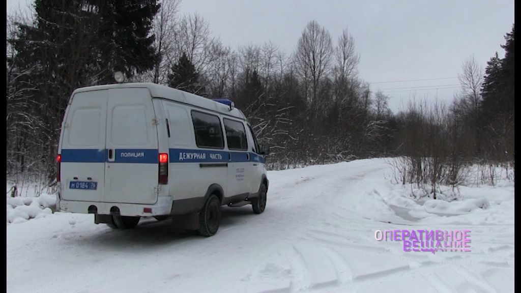 В Ярославской области по фрагменту пули вычислили браконьера