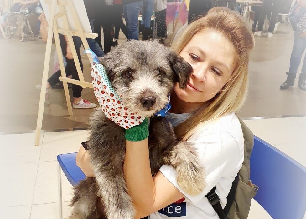 В Ярославле умерла известный зооволонтер