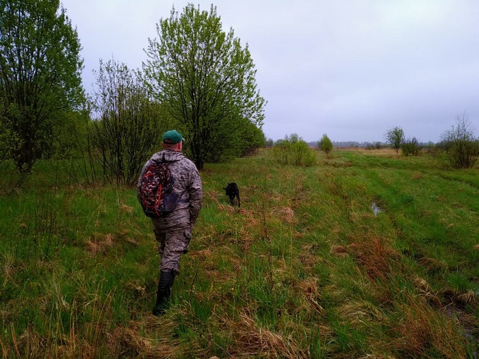В Ярославле начали патрулировать лесные массивы из-за диких животных