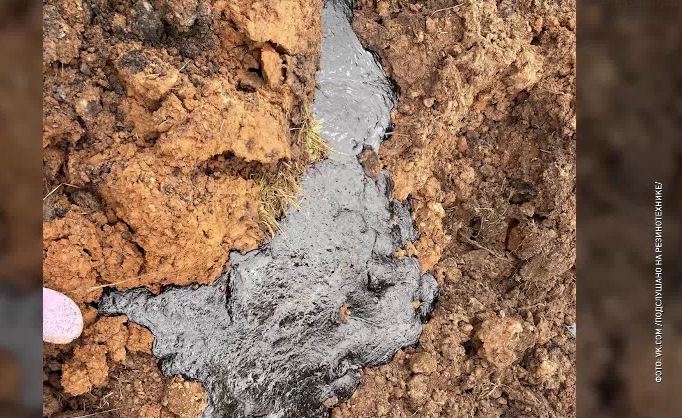 Ярославцы сообщают о загрязненной территории с мертвыми птицами