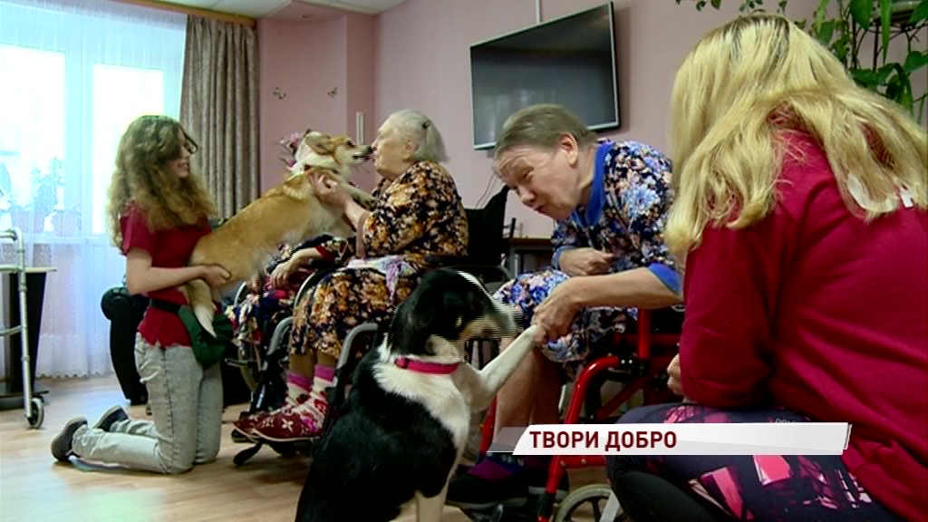 Ярославская область признана одним из лидеров развития добровольчества в стране