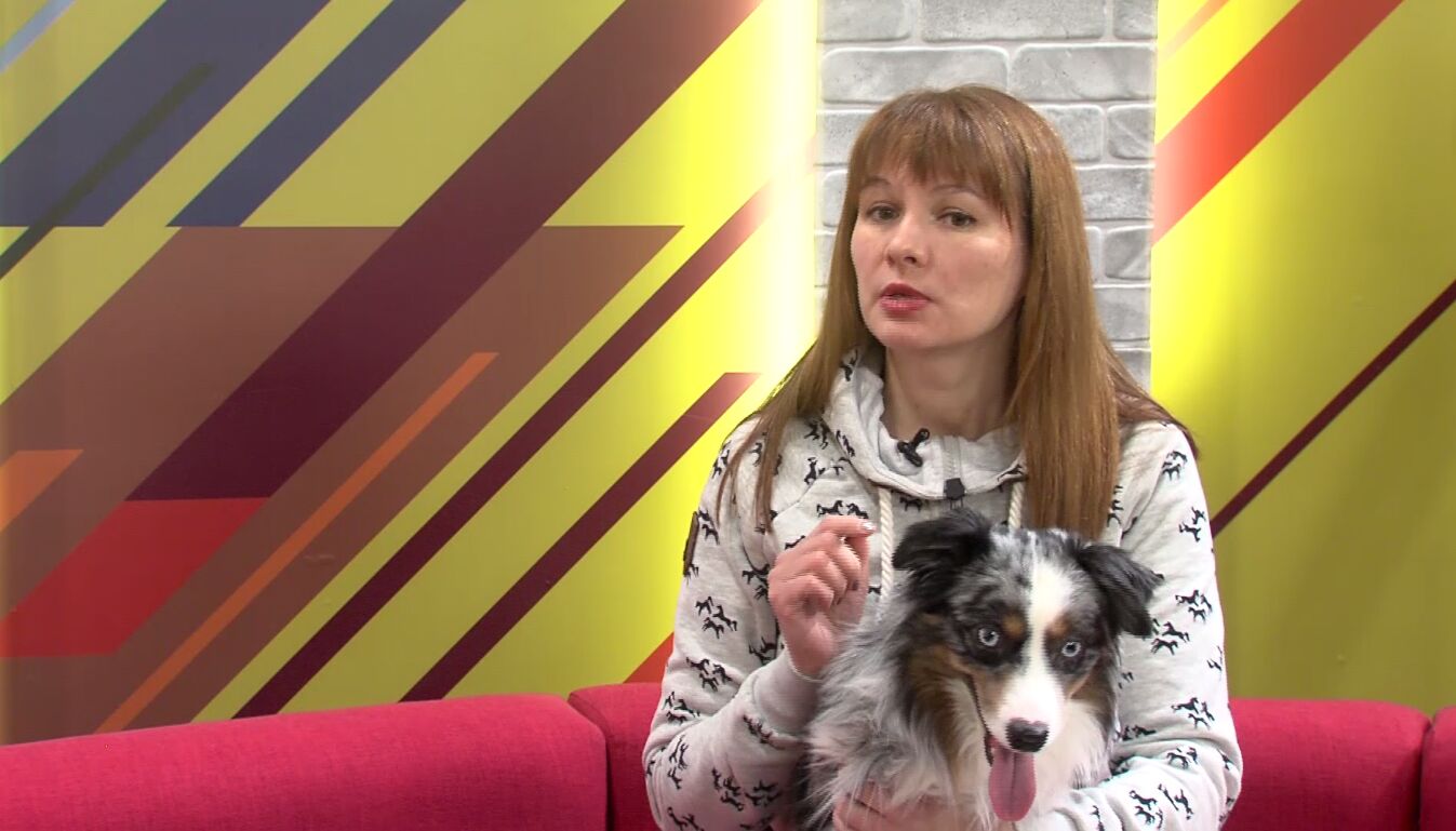 «Интересный человек». Как вести себя с собаками? В студии – психолог-реабилитолог Светлана Лозко