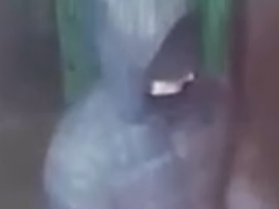 Полиция ищет в Ярославле дерзкого налетчика