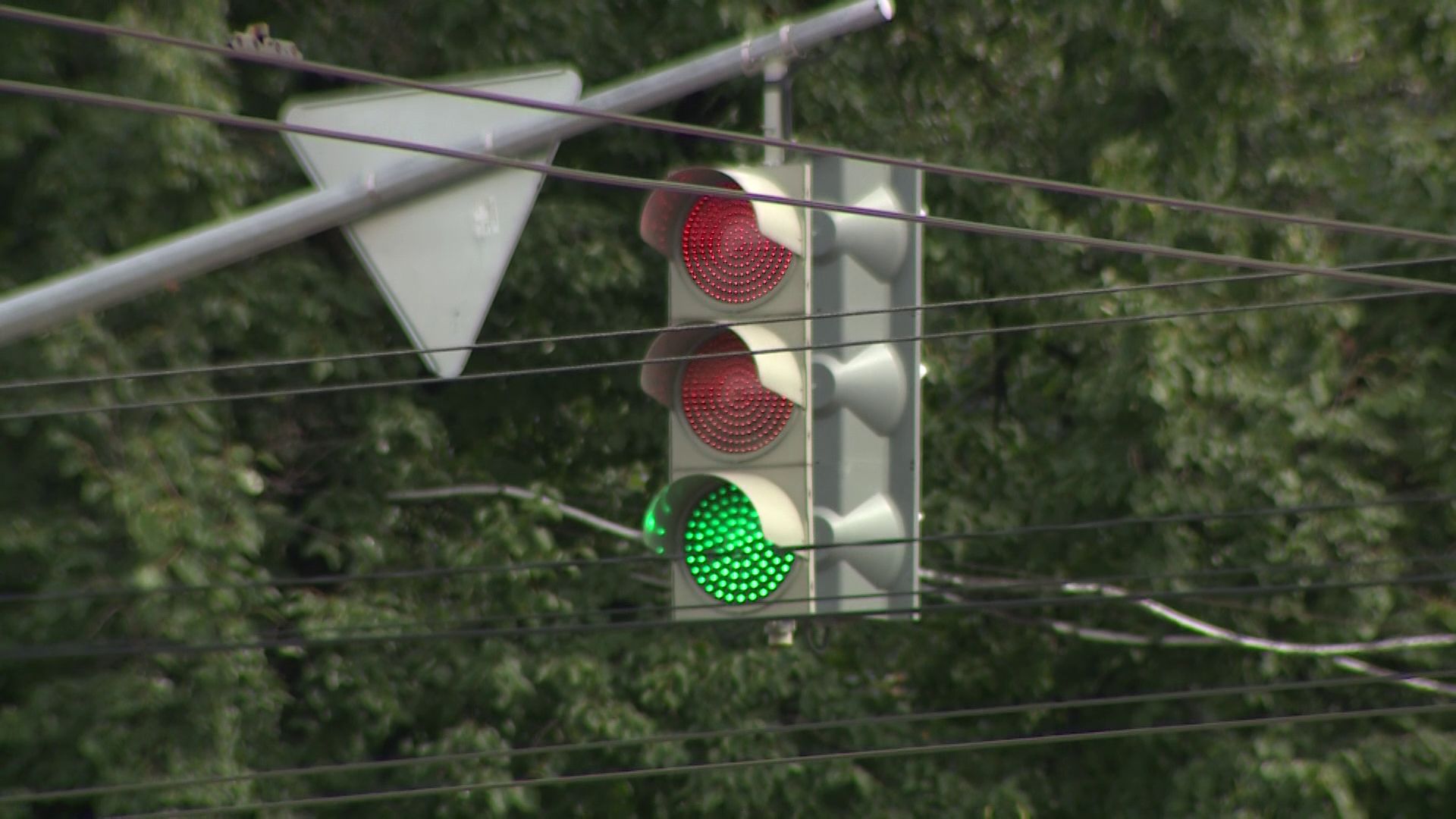 Главный на дороге: международный день рождения отмечает светофор