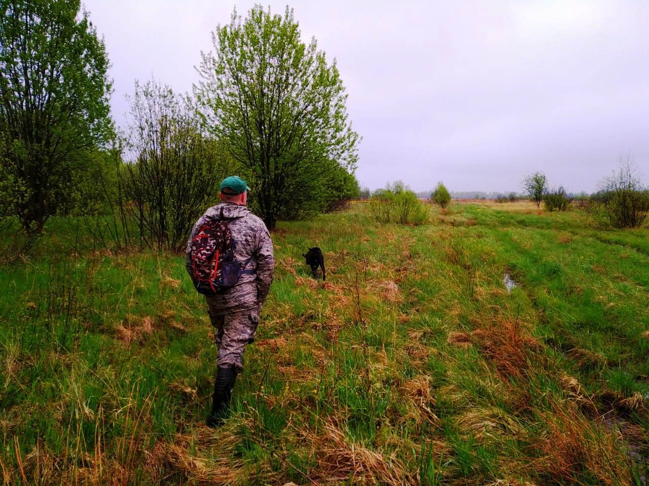 В Ярославской области вступили в силу новые правила охоты