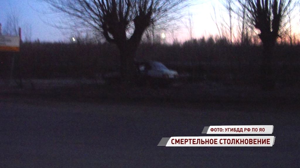 В столкновении с деревом погиб водитель «Лады»