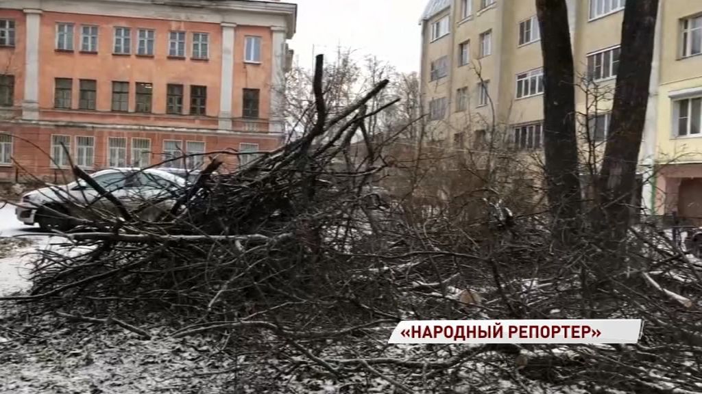 Жители дома на Чайковского просят убрать с детской площадки ветки от спиленных деревьев