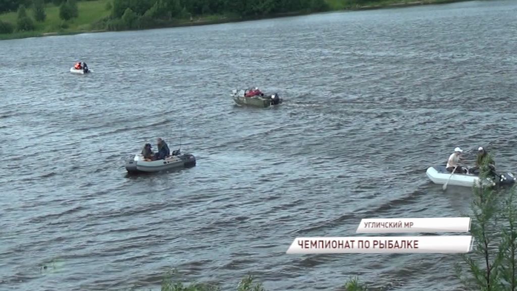 В Угличе прошел чемпионат области по спортивной рыбалке