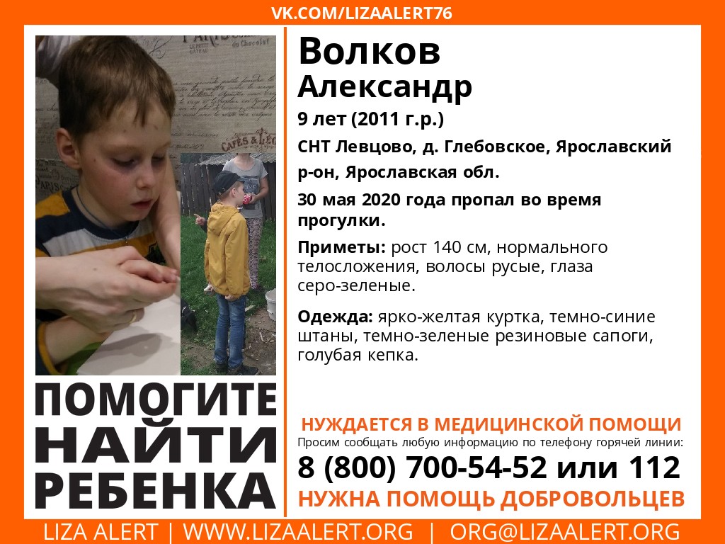 В Ярославском районе во время прогулки пропал девятилетний мальчик