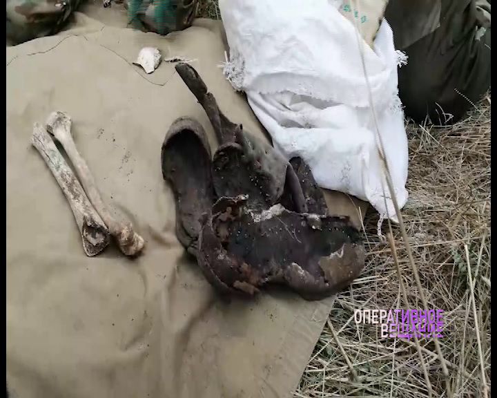 Судебные приставы из Ярославской области отправились в Керчь на раскопки