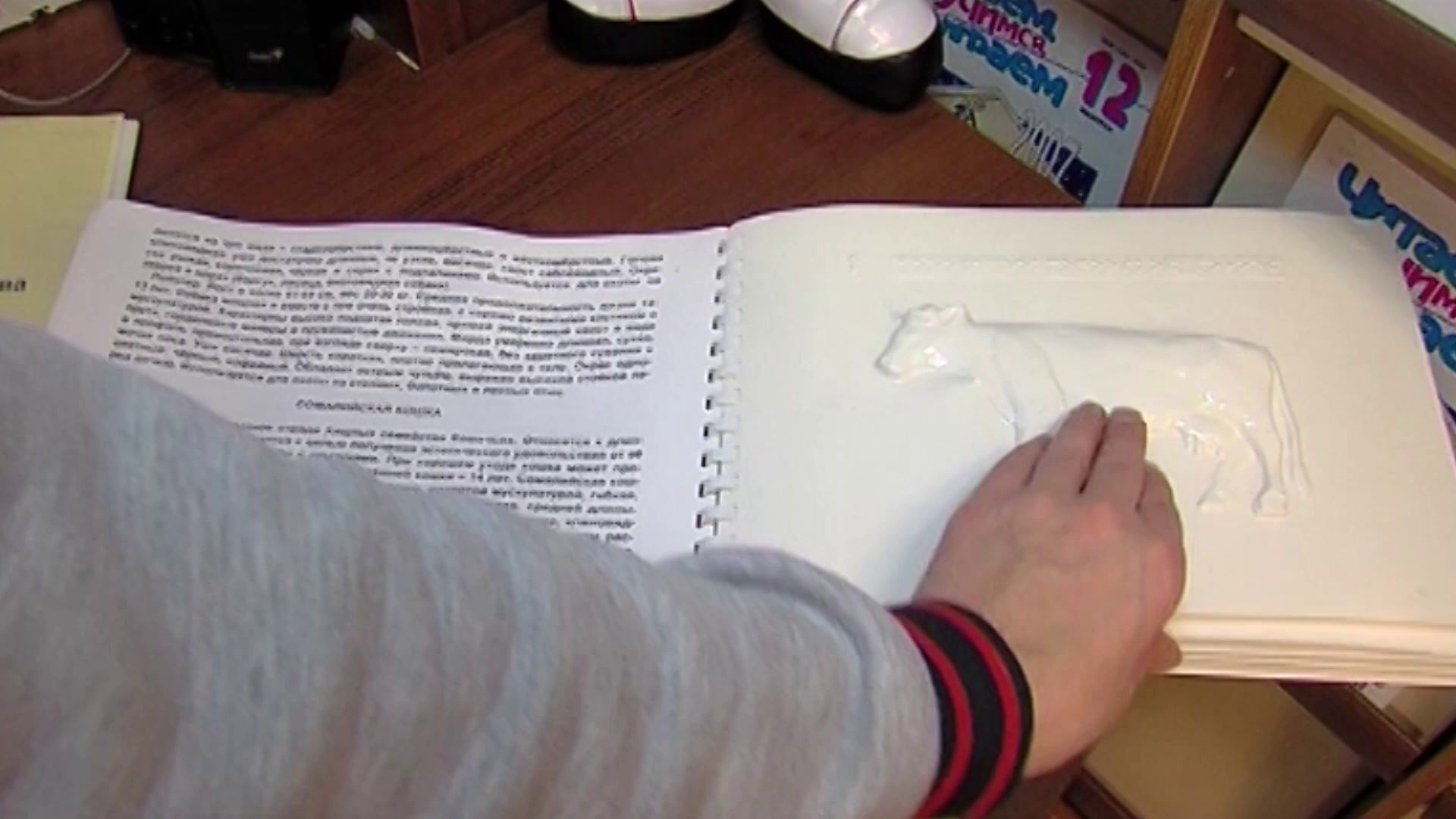 Помощь от окружающих: в регионе стартовала акция «Белая трость»