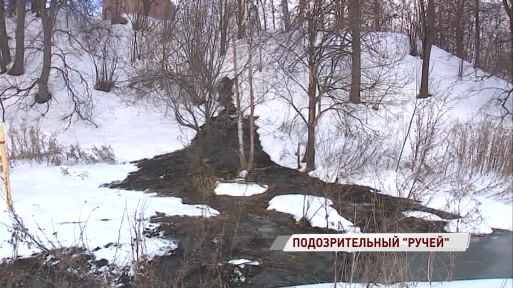 В Которосль «впадает» фекальный ручей: кто виноват в экологическом беспределе