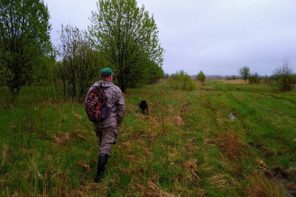 В Ярославской области с начала года провели более 1300 антибраконьерских рейдов