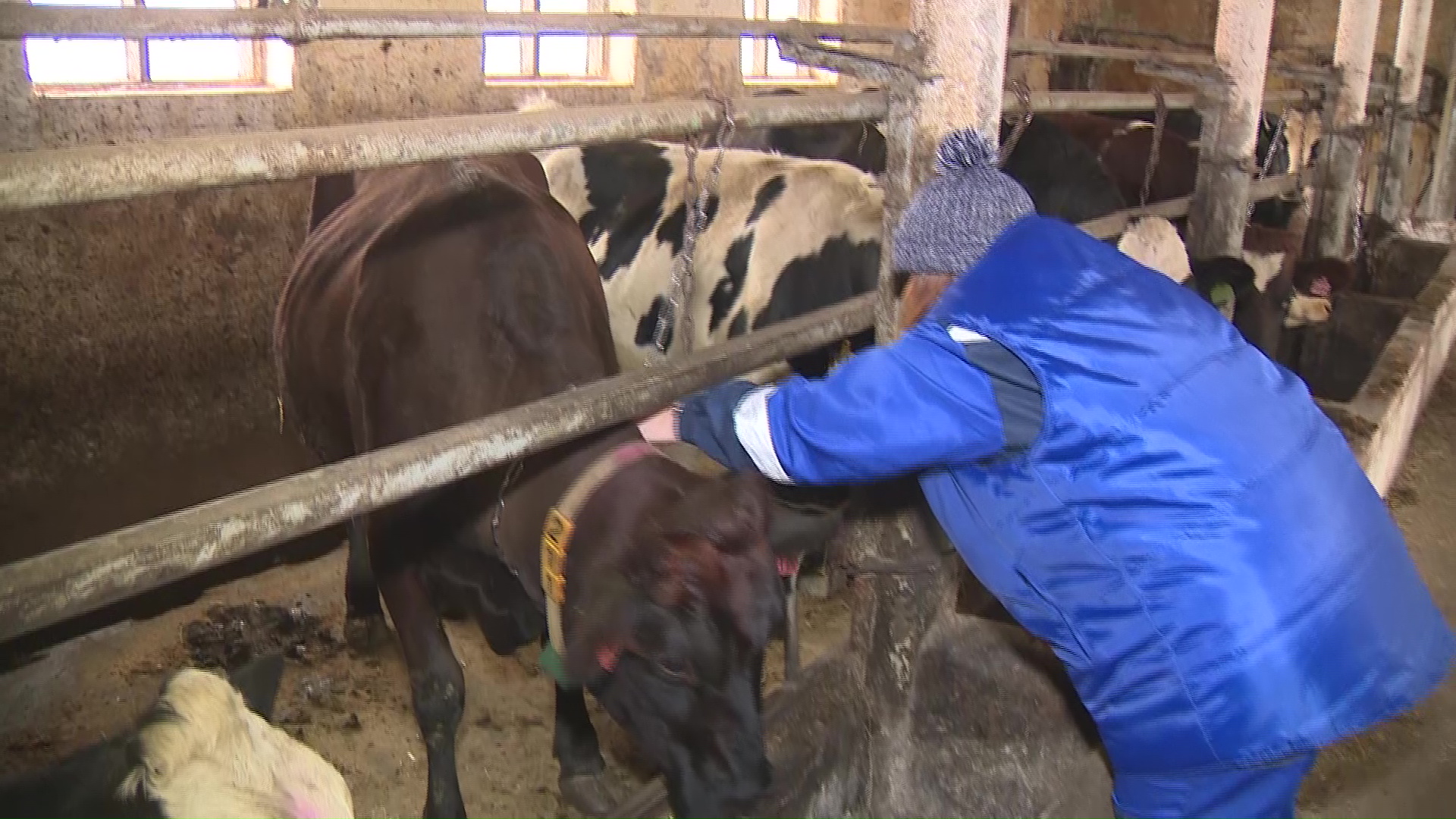 Дауншифтинг по-ярославски: почему молодые специалисты едут работать в деревни