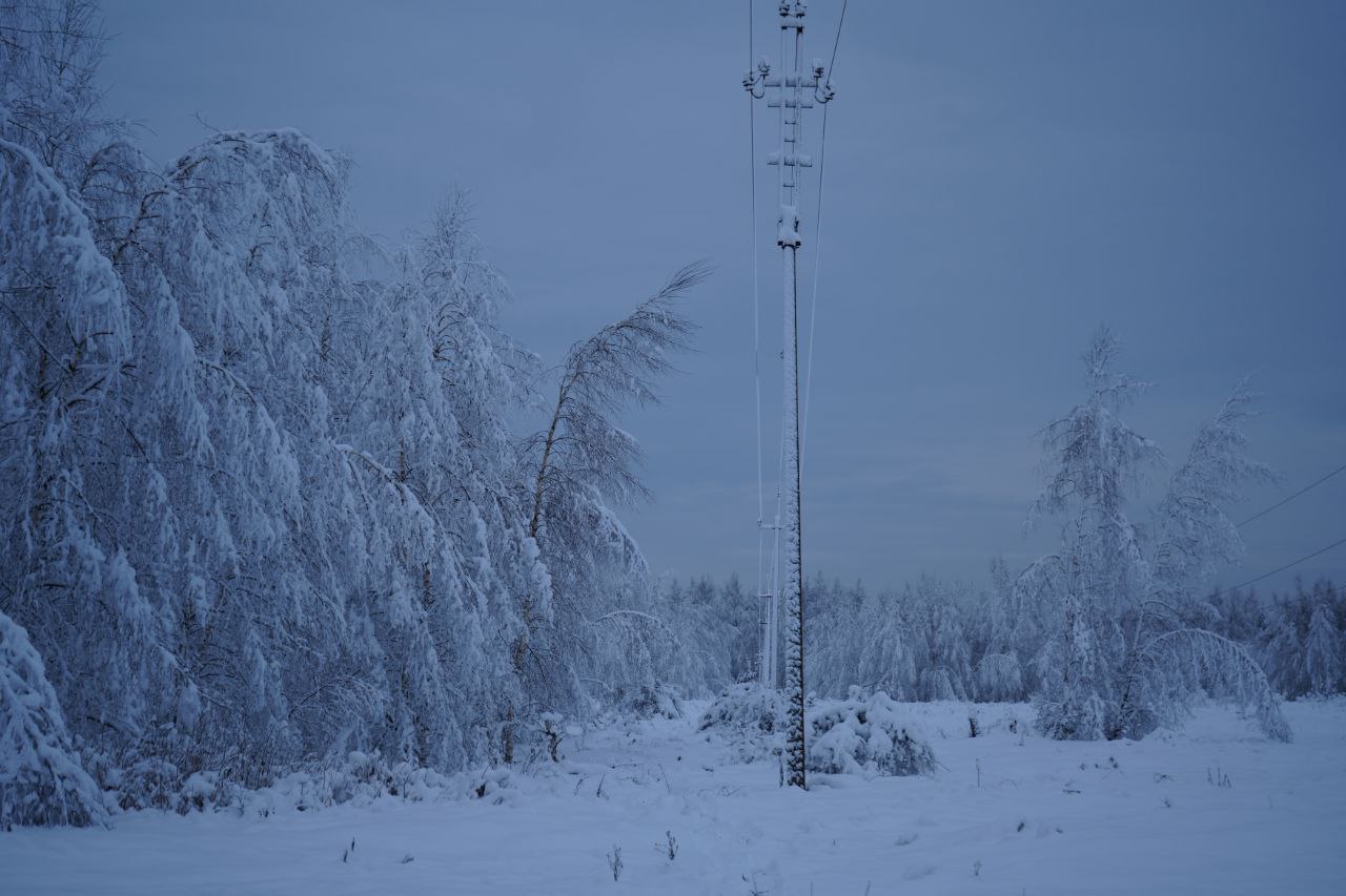 Ярославцев предупредили о надвигающейся непогоде