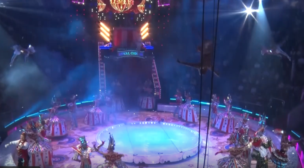 Итоги недели от 08.11.2025