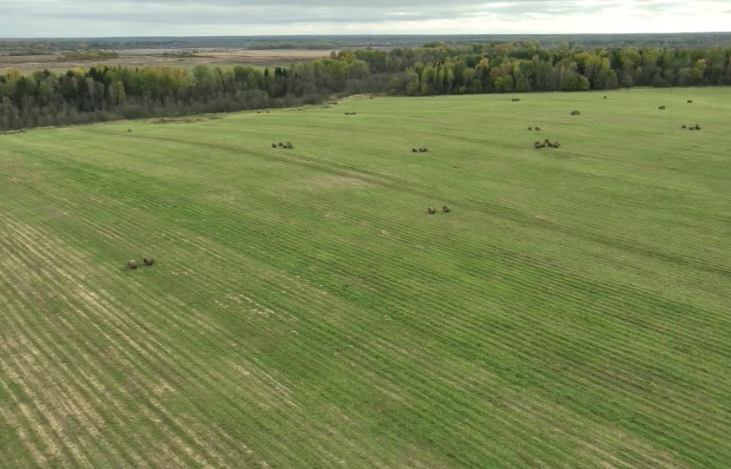 750 млн рублей вложат в развитие сельского хозяйства Ярославской области в 2026 году