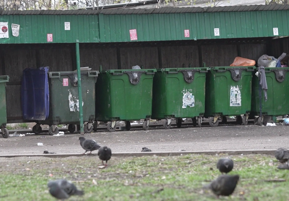 Штрафы до 100 тысяч: ярославцам рассказали, куда обращаться, если мусор не вывозят