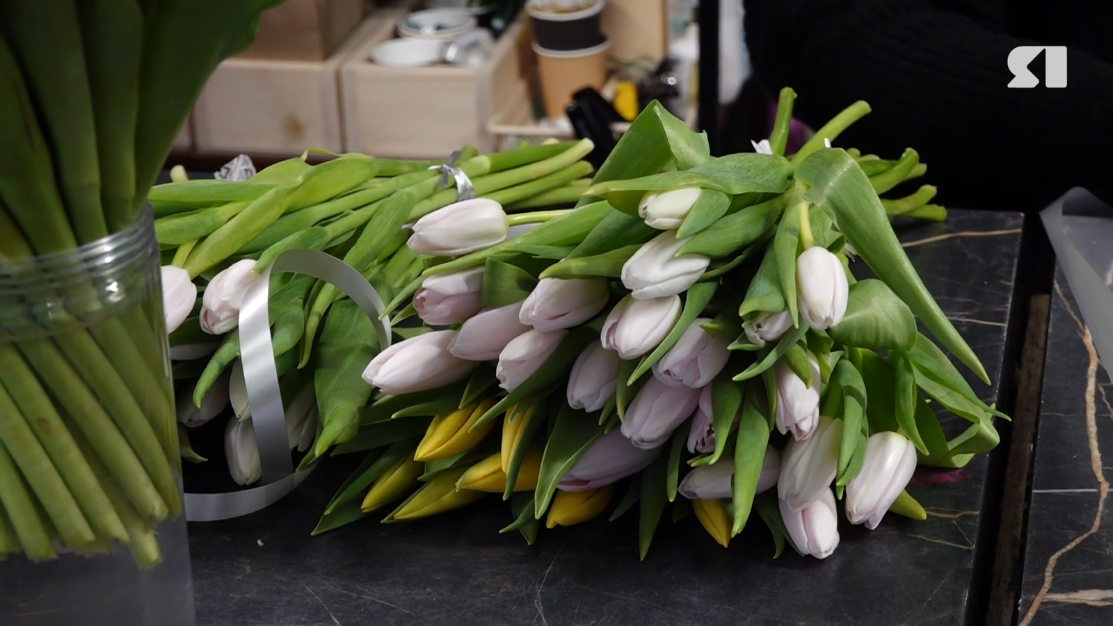 В Ярославле начали работу цветочные базары