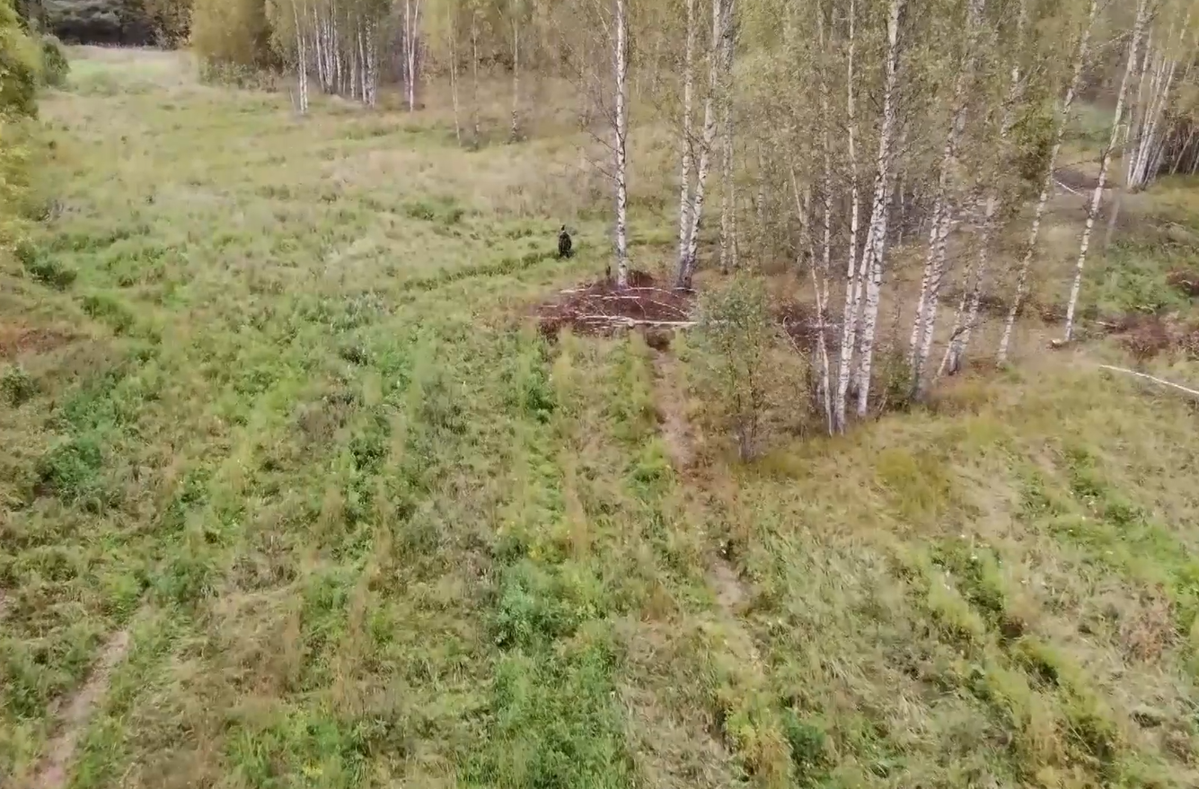 В Ярославской области будут наказывать грибников за сборы видов из Красной книги