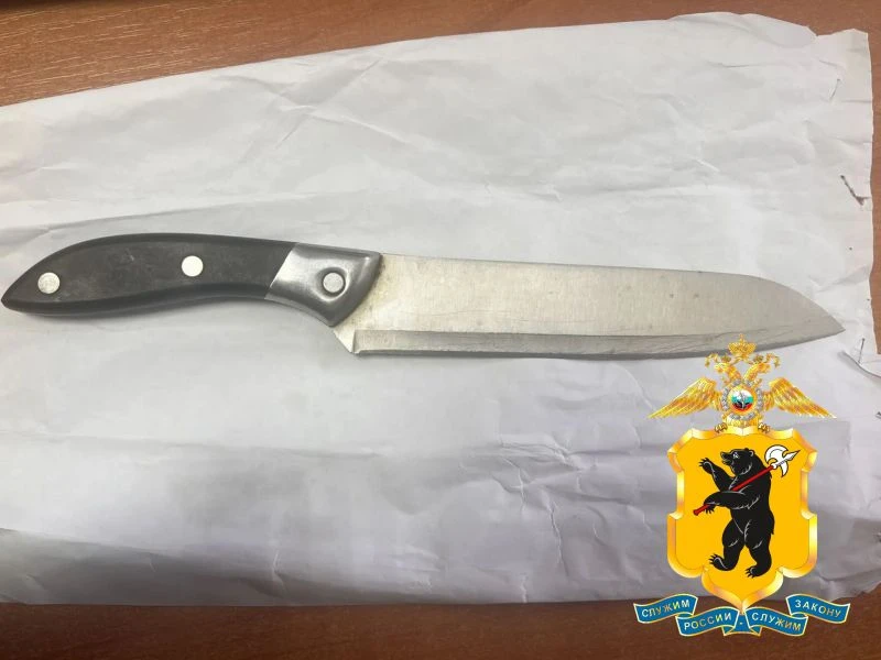 В Ярославле задержан мужчина, угрожавший ножом врачу скорой помощи