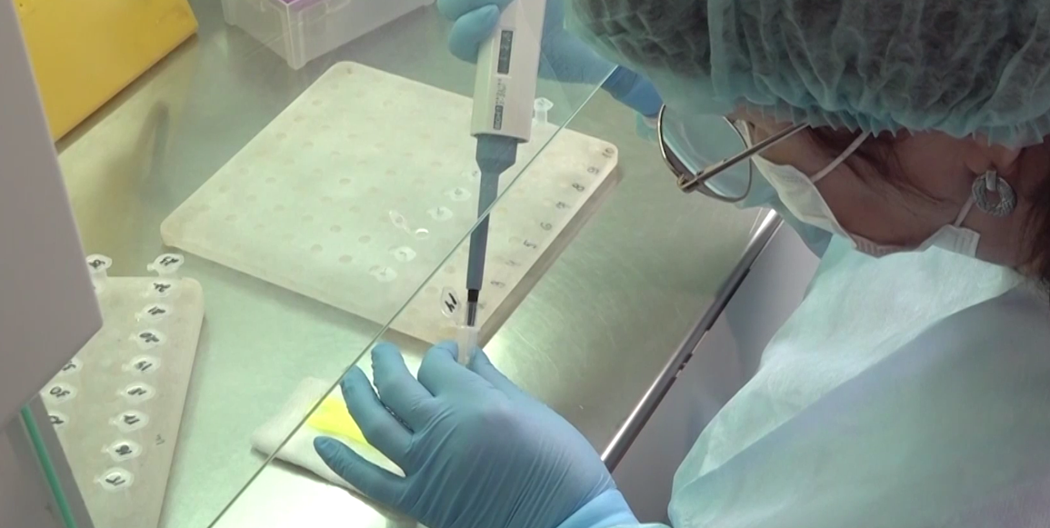 Поступило более 130 обращений: в Ярославской области начался сезон клещей